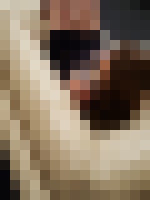 Background image - blurred