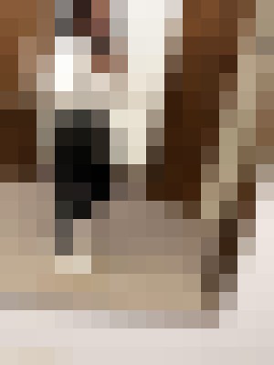 Background image - blurred