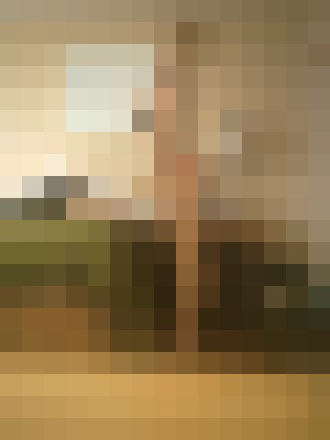 Background image - blurred