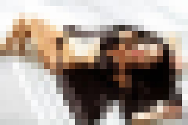 Kings of Dubai Dubai Escort, Pornstar, BDSM, Massage, Verified Adult Service Provider, Companion in United Arab Emirates | 2