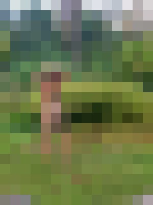 Background image - blurred