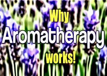 Why Aromatherapy Works