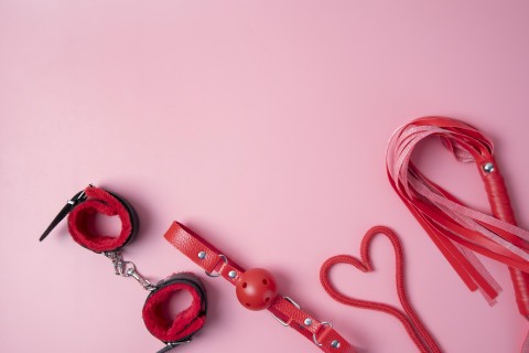 Sex dolls as ideal romantic partners: Study finds.