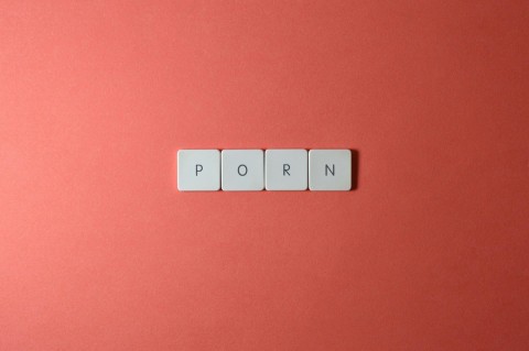 Porn industry professionals at work