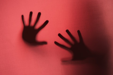 Support for childhood trauma survivors