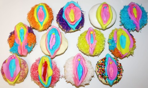 Designer Vagina showing vulva diversity