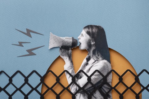 Free Speech Coalition webinar on age verification laws