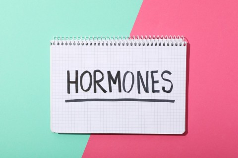 Emotional intimacy through hormonal harmony.
