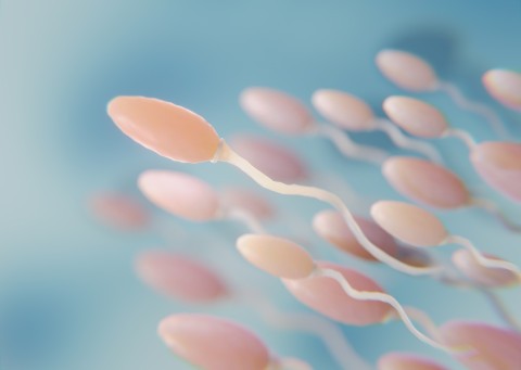 A visual representation of high semen volume.