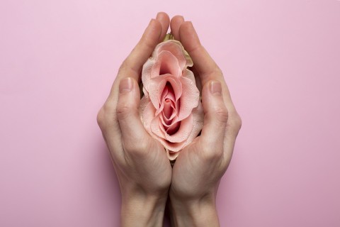 Prolapse fetish symbolized as rosebud