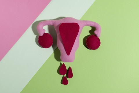 Escort and client intimacy during menstruation