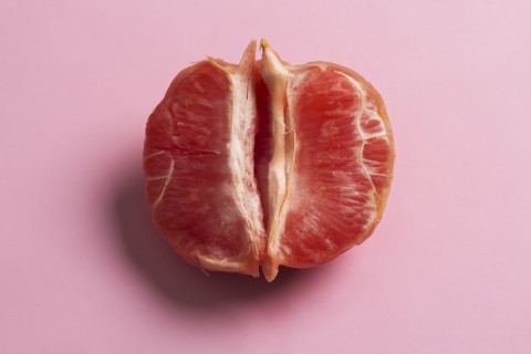 Vulva diversity illustration showing variations