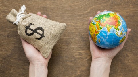 $50 really gets you global escort experiences