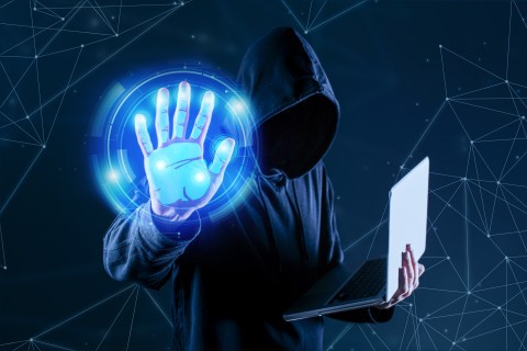 Phishing alert with fake website