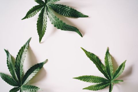 Cannabis advertisement on a smartphone in an intimate bedroom setting with a couple, illustrating the link between cannabis marketing and sexual expectations.