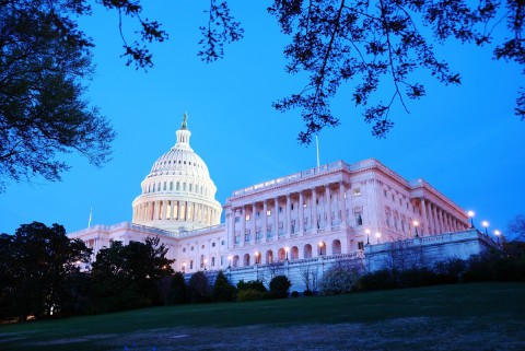 Congress reviews national age verification bill.