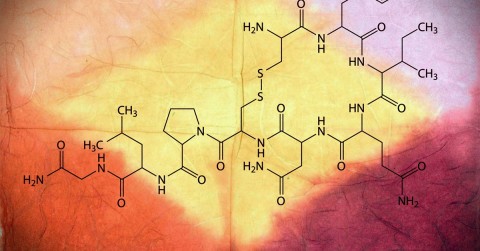 Oxitocin nasal spray used in clinical research on healing and intimacy.