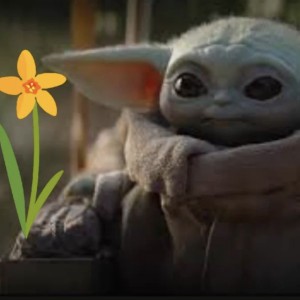 Toni675 - member from Swansea