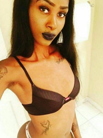 Lauren Sugar Dallas, Texas Escort, , Verified Adult Service Provider, Companion in United States