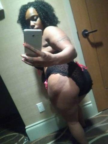 Paradise Exotic Dallas, Texas Escort, Pornstar, Verified Adult Service Provider, Companion in United States