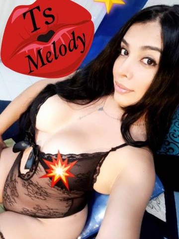 Ts_melody217 Dallas, Texas Escort, , Verified Adult Service Provider, Companion in United States
