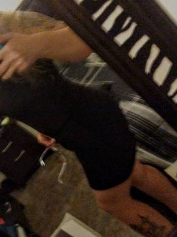 MysticFury Charleston, South Carolina Escort, Pornstar, Verified Adult Service Provider, Companion in United States