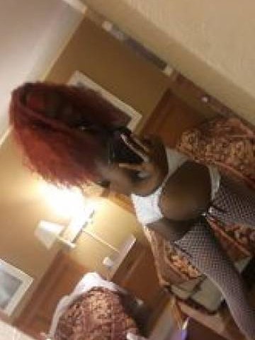 Tiffany Mona Houston, Texas Escort, Pornstar, Verified Adult Service Provider, Companion in United States