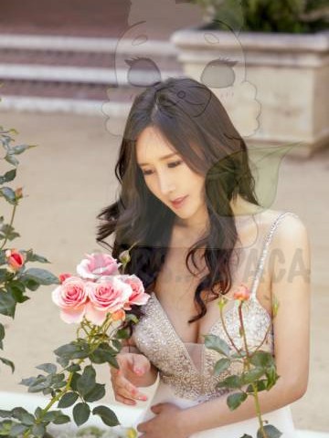 Airi-alpaca San Jose, California Escort, , Verified Adult Service Provider, Companion in United States
