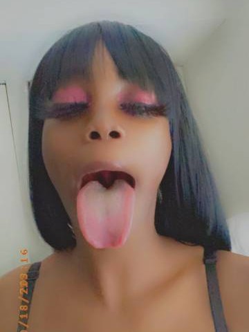 JessicaB Miami, Florida Escort, , Verified Adult Service Provider, Companion in United States