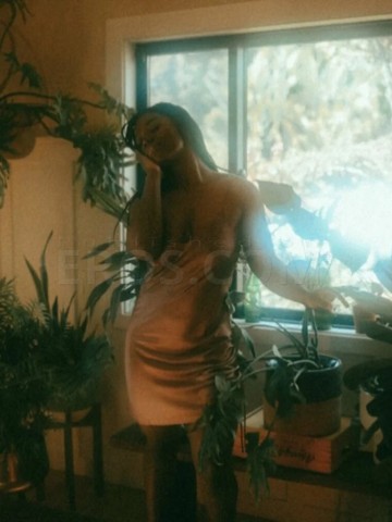 Sylvie Los Angeles, California Escort, , Verified Adult Service Provider, Companion in United States