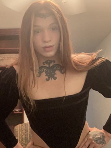 TS Priscilla New Orleans, Louisiana Escort, Massage, Verified Adult Service Provider, Companion in United States