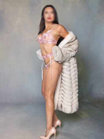 Angelina Marie Chicago, Illinois Escort, , Verified Adult Service Provider, Companion in United States