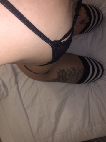 PersainBabe69 Rohnert Park, California Escort, , Verified Adult Service Provider, Companion in United States