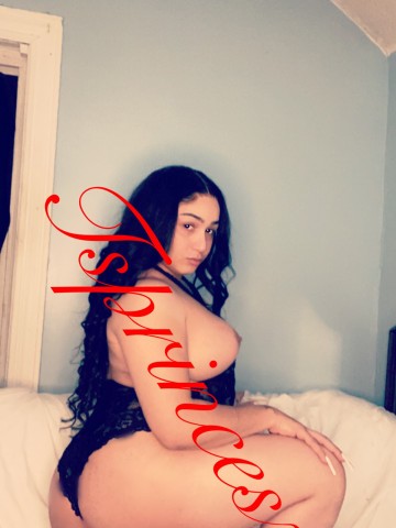 TsMorningstar Boston, Massachusetts Escort, , Verified Adult Service Provider, Companion in United States