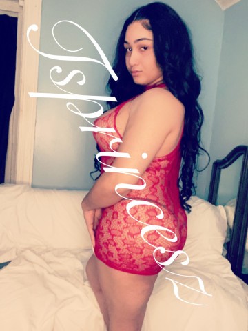 TsMorningstar Boston, Massachusetts Escort, , Verified Adult Service Provider, Companion in United States