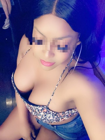 TS- Koko Providence, Rhode Island Escort, , Verified Adult Service Provider, Companion in United States