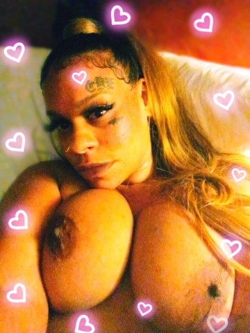 SexyJill St. Louis, Missouri Escort, Pornstar, Verified Adult Service Provider, Companion in United States