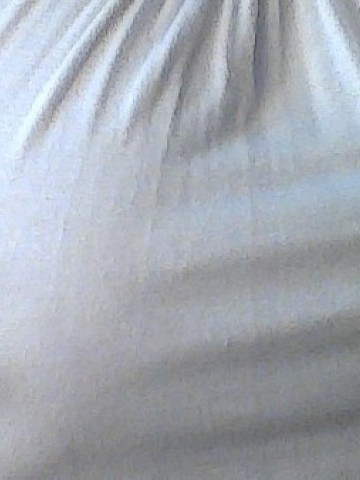 TaylorSims Dallas, Texas Escort, , Verified Adult Service Provider, Companion in United States
