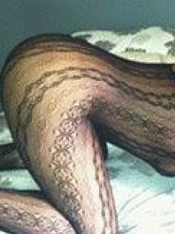 Sweet CaraMel Syracuse, New York Escort, Pornstar, DUO, Couple, Massage, Verified Adult Service Provider, Companion in United States