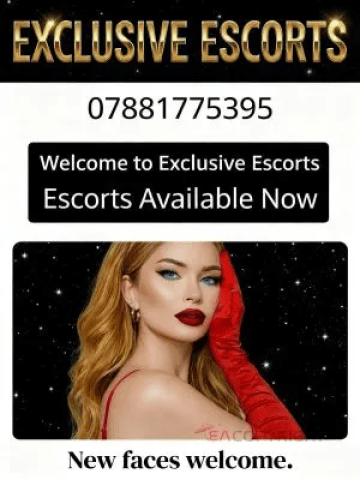 Exclusive Escorts - Vip Banner Image