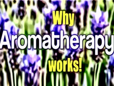 Why Aromatherapy Works