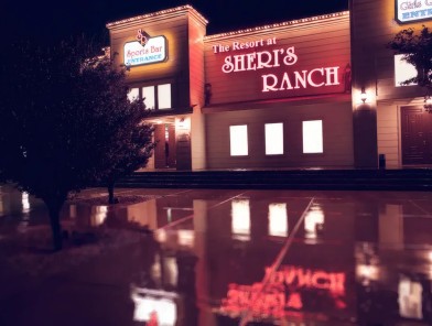 Legal sex work protest in Nevada