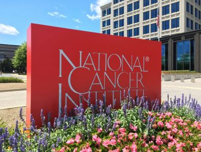 The Fight of Sex Workers Against Cancer