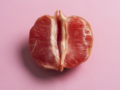 Vulva diversity illustration showing variations