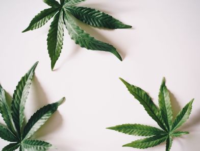 Cannabis advertisement on a smartphone in an intimate bedroom setting with a couple, illustrating the link between cannabis marketing and sexual expectations.