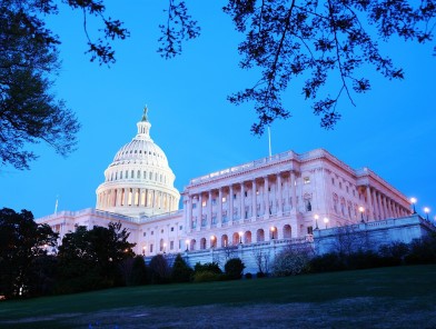 Congress reviews national age verification bill.