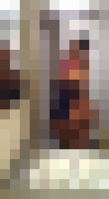 Caramel deluxx Dallas, Texas Escort, Pornstar, Verified Adult Service Provider, Companion in United States | 14