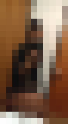 MochaTrini Albany Escort, , Verified Adult Service Provider, Companion in New Zealand | 2