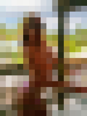 Alexxxis Christi Myrtle Beach, South Carolina Escort, , Verified Adult Service Provider, Companion in United States | 14