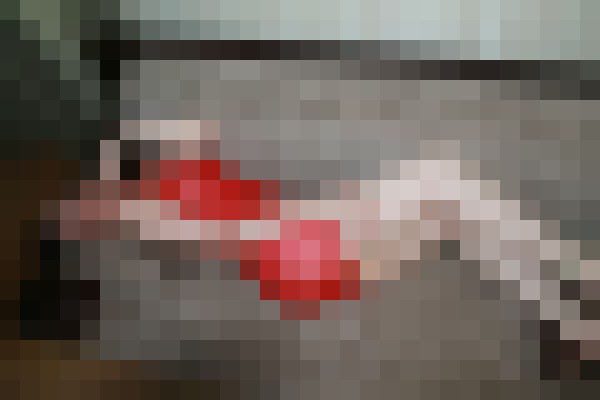 Scarlette Tbilisi Escort, , Verified Adult Service Provider, Companion in Georgia | 10